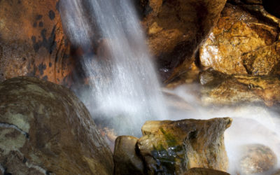 Water-wise Wines