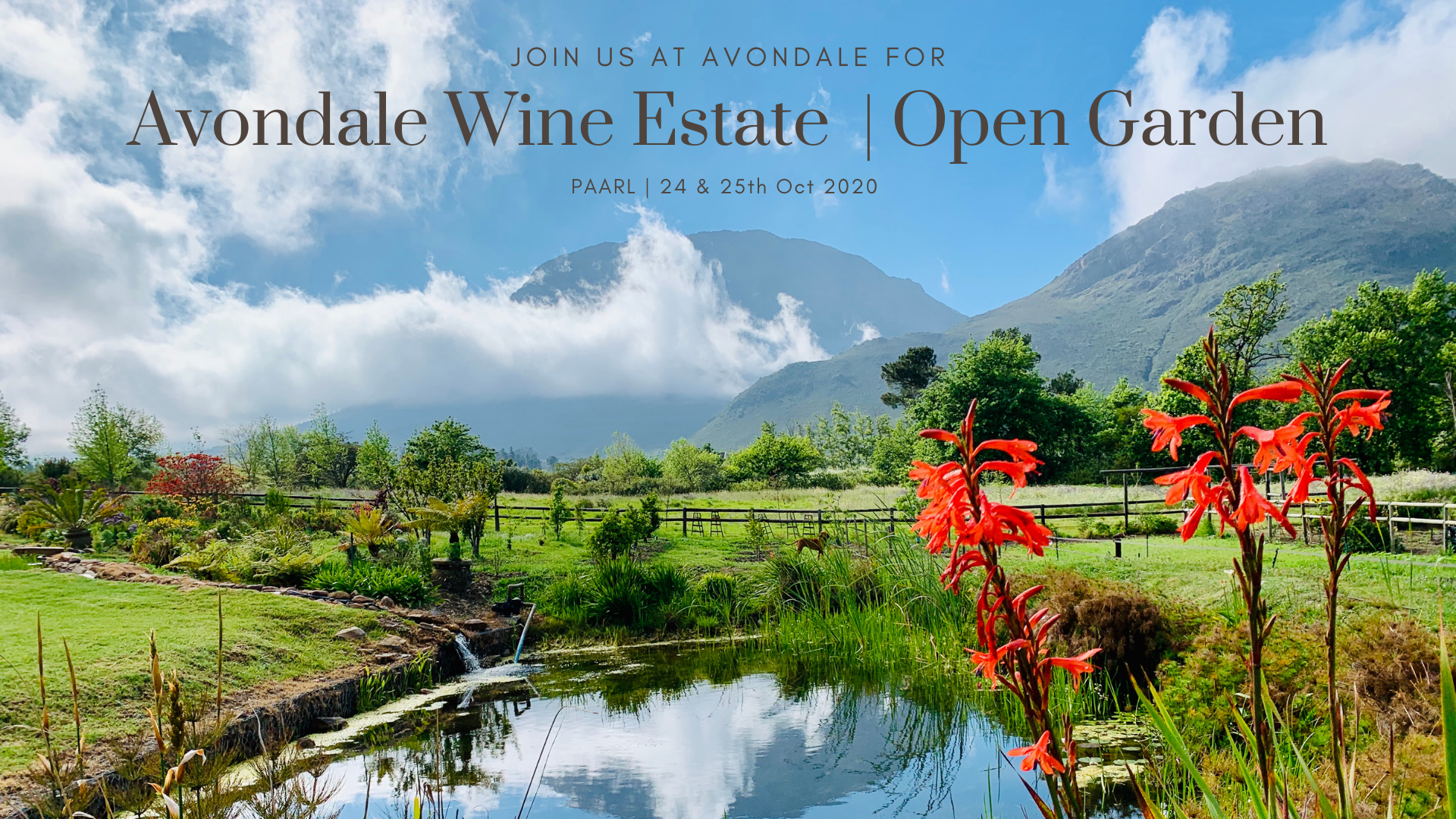 Avondale Wine Estate Opens Gardens – 24th & 25th October 2020