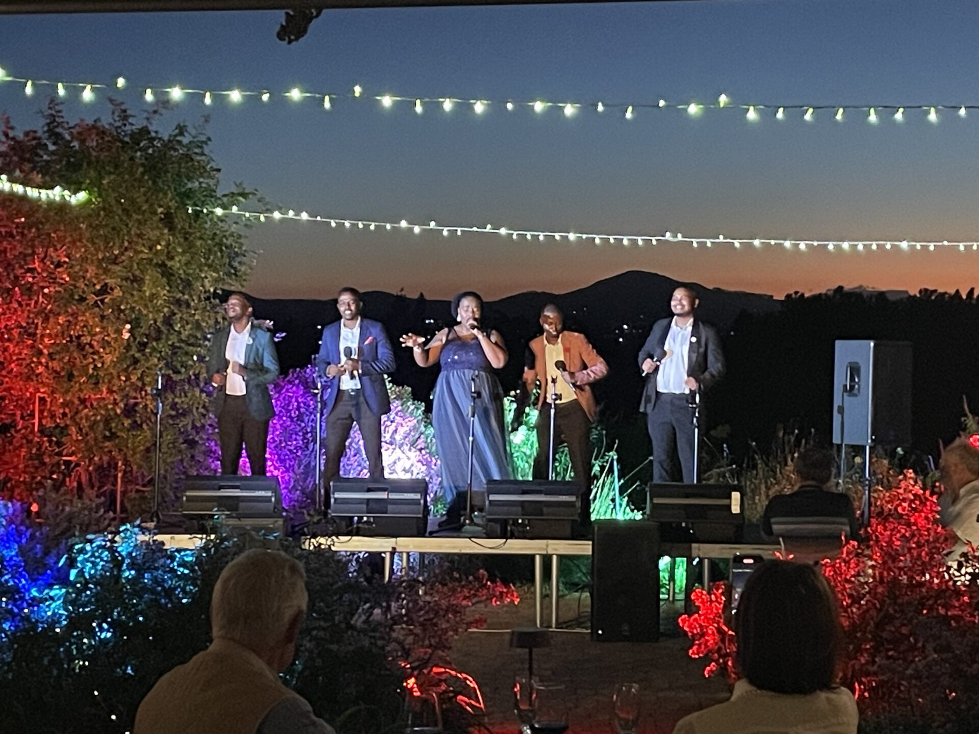 Classical Melodies Under the African Skies – An Evening to Remember